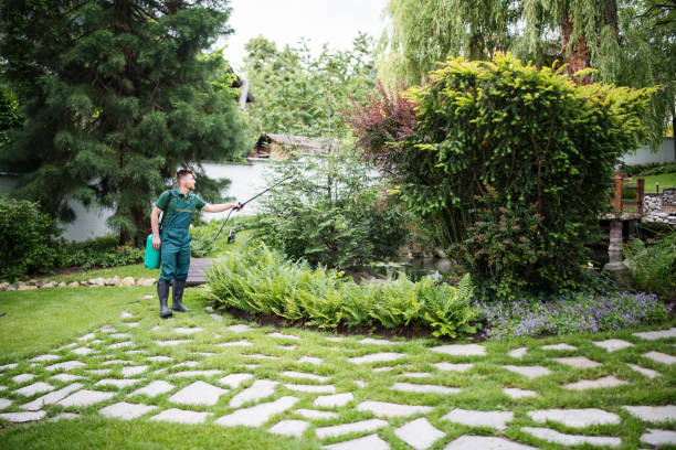 Best Insect Control  in Waupun, WI